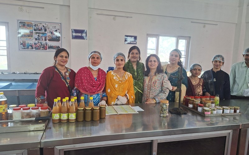 Skill Development & Livelihood